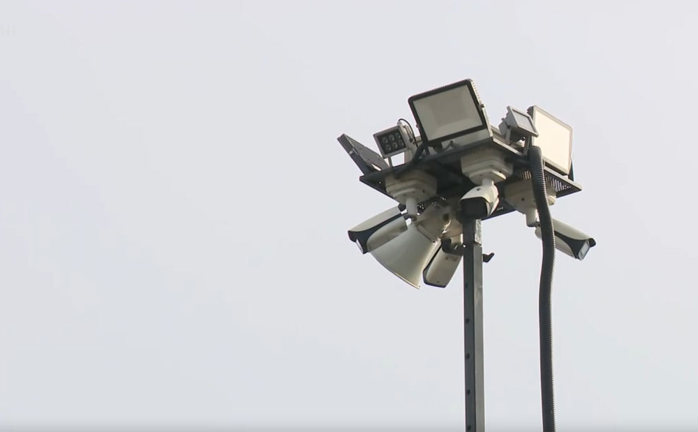 žirafa.png žirafa.png